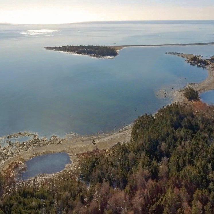 Opponents in rural Nova Scotia challenge cabinet decision on whale sanctuary project